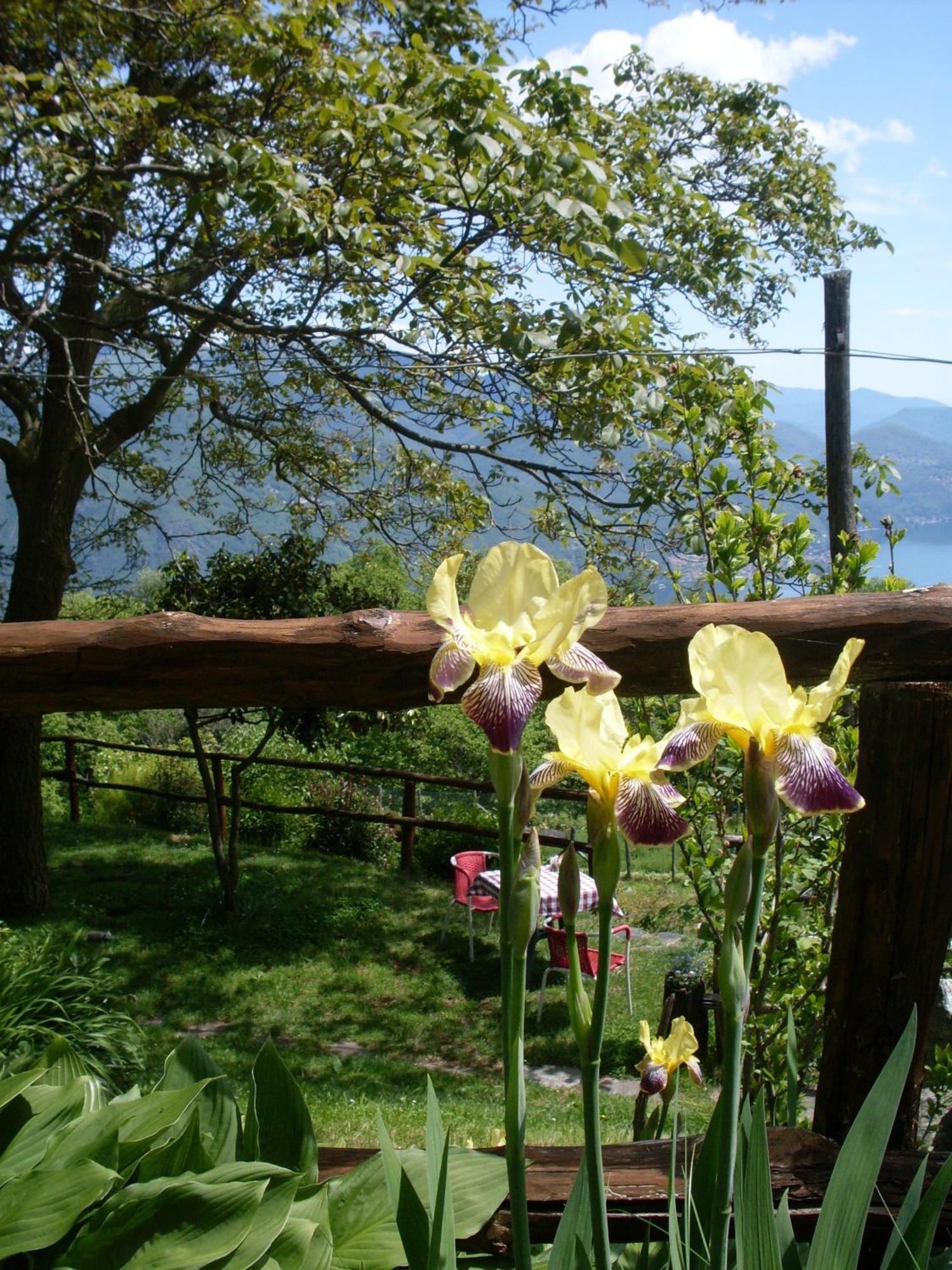 Agriturismo Da Attilio Cannobio Exteriér fotografie