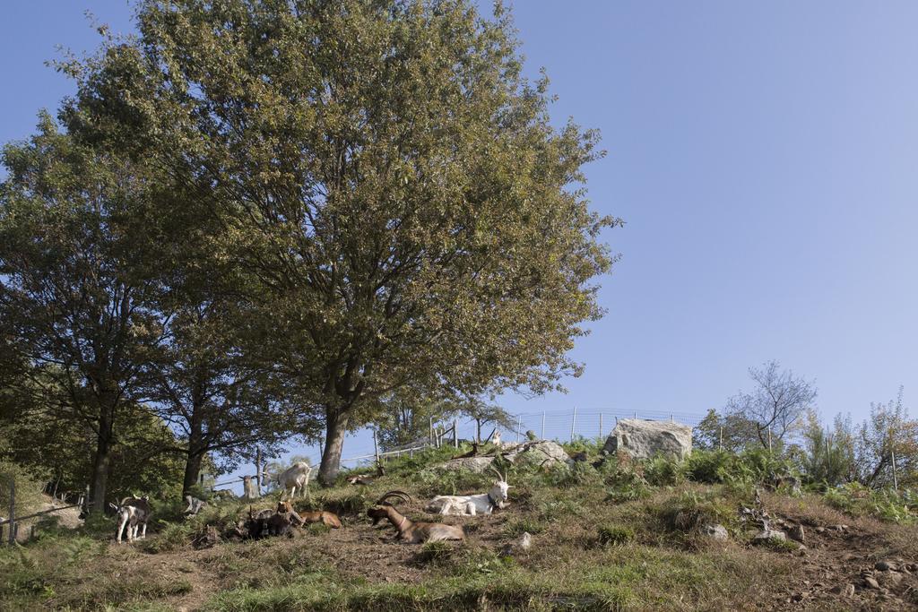 Agriturismo Da Attilio Cannobio Exteriér fotografie