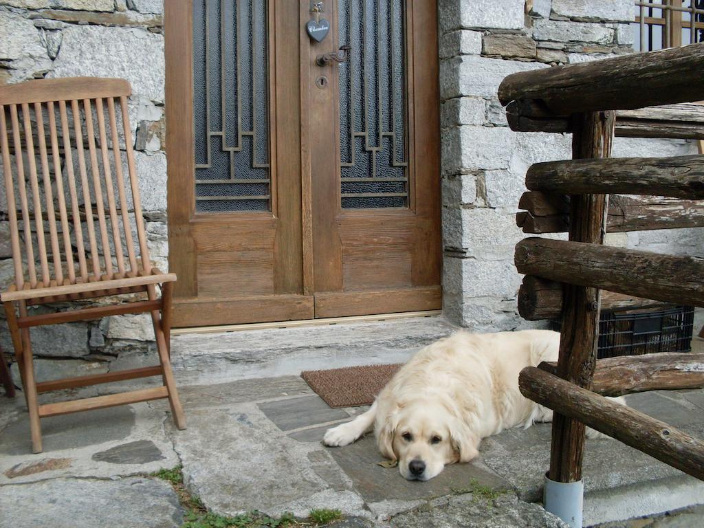 Agriturismo Da Attilio Cannobio Pokoj fotografie