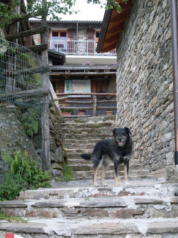 Agriturismo Da Attilio Cannobio Exteriér fotografie